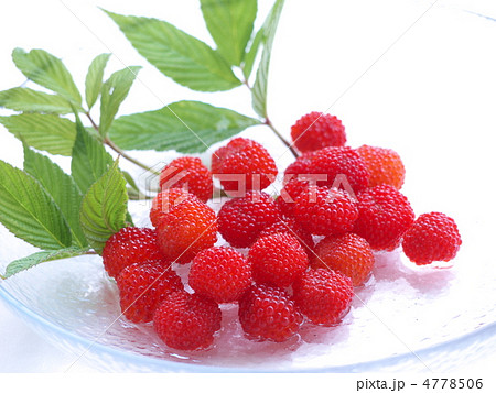 野イチゴ 4778506