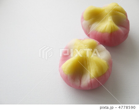和菓子 4778590