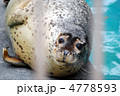のほほん 4778593
