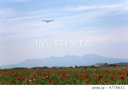グライダーとポピーと赤城山 4778631