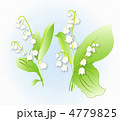 すずらん 4779825