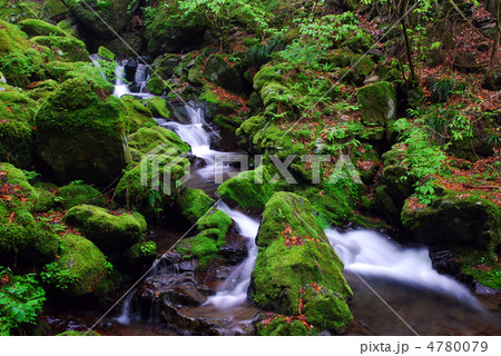 大岳沢(東京都檜原村) 大岳沢(東京都檜原村) 4780079