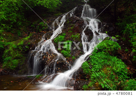 白岩の滝群の一つ雨乞の滝（東京都日の出町） 4780081