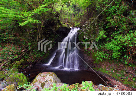 遊女の滝(静岡県小山町) 遊女の滝(静岡県小山町) 4780082