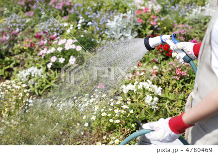 散水 散水 4780469