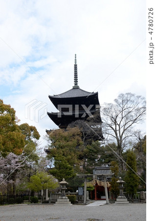 春の東寺 4780726