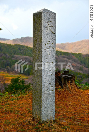 「天守閣阯」の石碑(春日山城址/新潟県上越市中屋敷・大豆) 「天守閣阯」の石碑(春日山城址/新潟県上越市中屋敷・大豆) 4781025