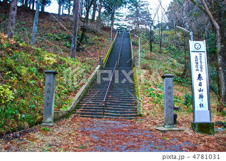 春日山神社への石段(春日山城址/新潟県上越市大豆) 春日山神社への石段(春日山城址/新潟県上越市大豆) 4781031