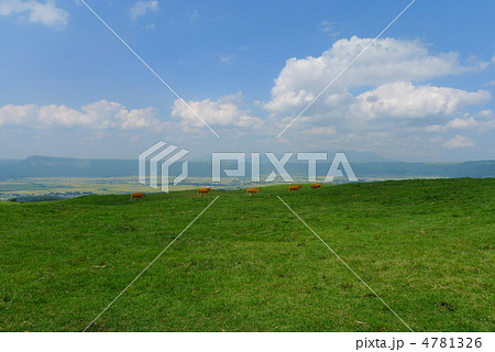 阿蘇の草原 4781326