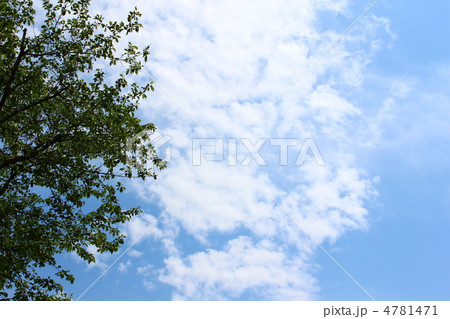空と雲 4781471