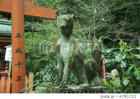 稲荷社の「キツネ」の石像(大豊神社/京都市左京区鹿ケ谷宮ノ前町) 稲荷社の「キツネ」の石像(大豊神社/京都市左京区鹿ケ谷宮ノ前町) 4781722