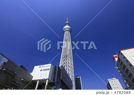 東京スカイツリーが見える風景の写真素材 470