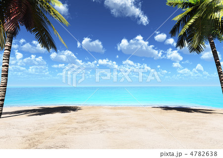 ビーチとココヤシ 4782638