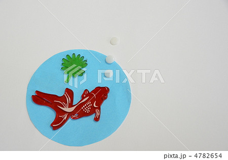 暑中見舞い・金魚 暑中見舞い・金魚 4782654