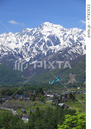 田園を往く大糸線 4782813