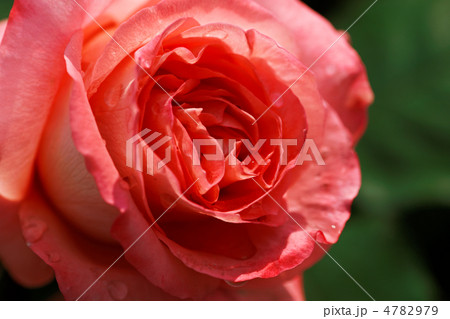 プレステージ ドゥ リヨン 4782979