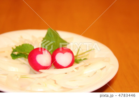 ラディッシュ ラディッシュ 4783446