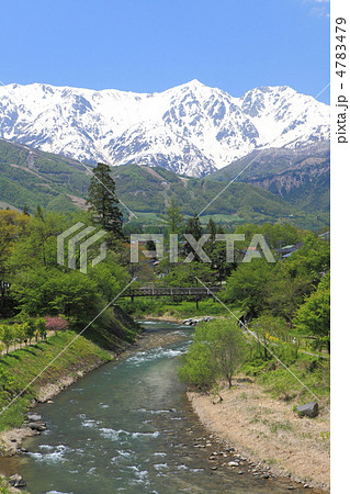 新緑の大出 4783479