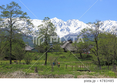 新緑の大出 4783485