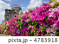 原爆ドームとツツジの花 4783918