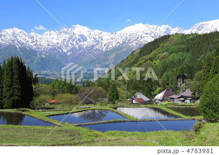 青鬼の棚田 青鬼の棚田 4783981
