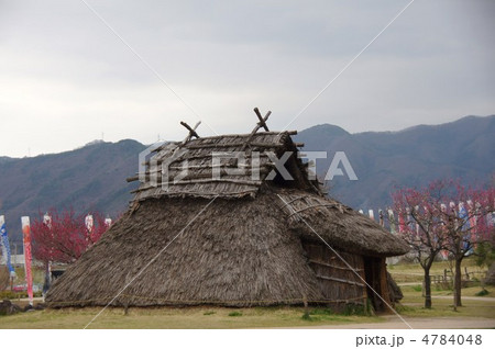 科野の里歴史公園(鯉のぼりと竪穴住居) 科野の里歴史公園(鯉のぼりと竪穴住居) 4784048