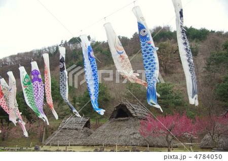 科野の里歴史公園（鯉のぼり） 4784050