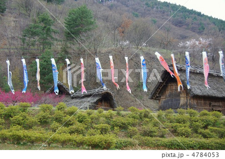 科野の里歴史公園（鯉のぼりと竪穴住居） 4784053