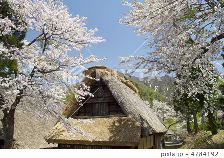 五箇山の集落 4784192