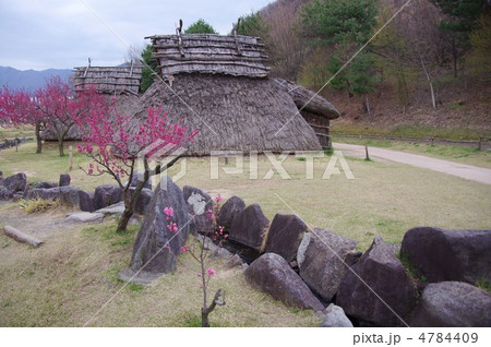 科野の里歴史公園（花ももも） 4784409