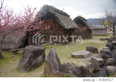 科野の里歴史公園（花ももも） 4784417