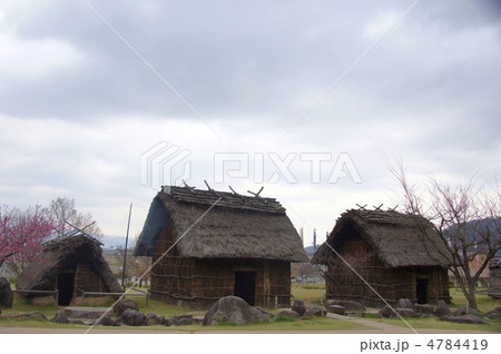 科野の里歴史公園（花ももも） 4784419