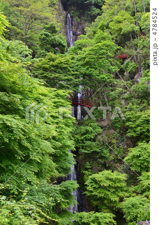 五宝滝 五宝滝 4784524