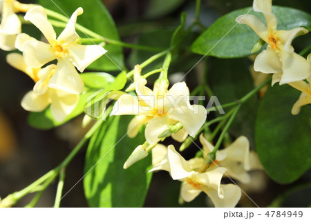 都会の片隅 4784949