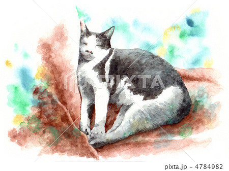 アイスドリーム 4784982