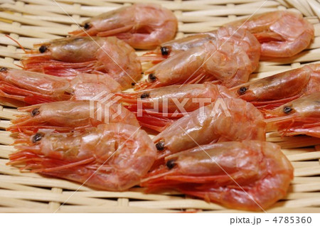 干しエビ 4785360