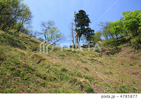 杉峠 4785877