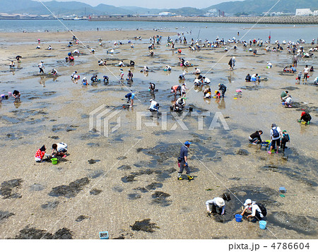 潮干狩り 4786604