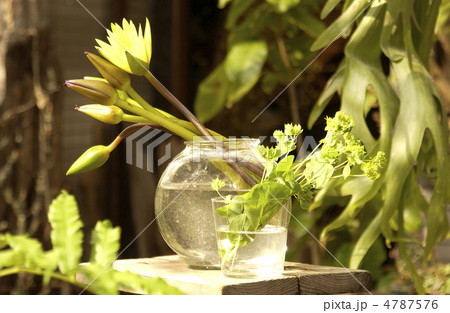 フラワーアレンジ フラワーアレンジ 4787576