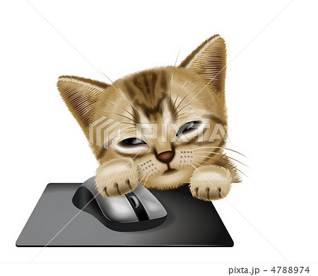 パソコンをする猫 4788974