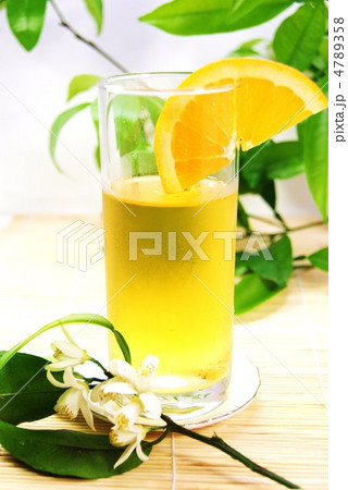 冷たーいオレンジティ―・柚子の花手前縦位置 冷たーいオレンジティ―・柚子の花手前縦位置 4789358