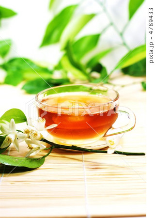 涼しげなアイスティ―、柚子の花・縦位置 涼しげなアイスティ―、柚子の花・縦位置 4789433