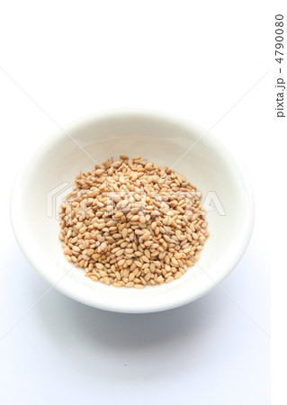 炒り胡麻 4790080
