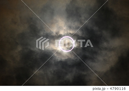 薄紫の金環日食 4790116