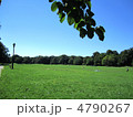 夏の公園 4790267