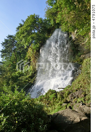 蓼科高原の横谷渓谷（乙女滝） 4791075