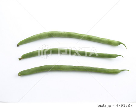 インゲンマメ 4791537