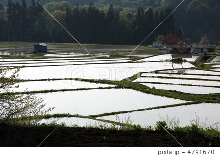 田植え前 田植え前 4791670