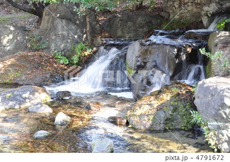 冬の白鳥庭園　渓流 4791672
