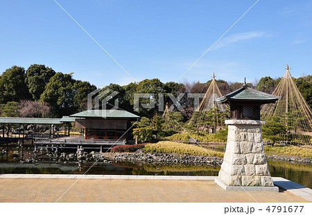 冬の白鳥庭園　常夜燈と清羽亭 4791677